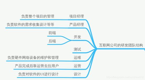 軟測基礎(chǔ) 測試流程詳細(xì)解釋