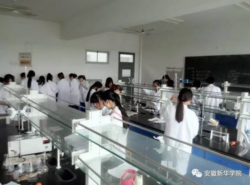 教授帶你逛專業(yè) 之藥學(xué)院 工程和技術(shù)研究與試驗(yàn)發(fā)展的融合與前景
