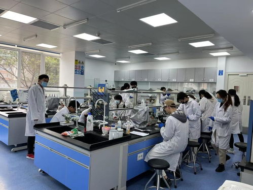 禧寶制研聯(lián)手川大食品研究院 以科學(xué)力量詮釋米其林味覺(jué)的標(biāo)準(zhǔn)化之路